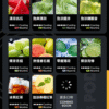 【滿3盒送悅刻主機】RELX悅刻六代煙彈3顆入 / 不通用一代 / 就是這5%薄荷完整了我靈魂/